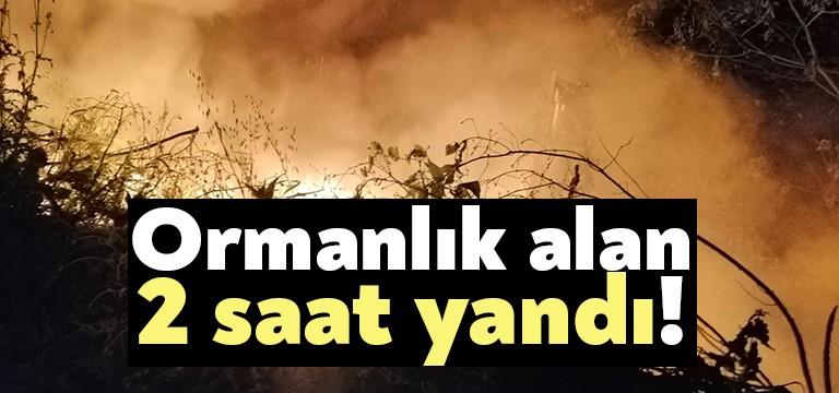Alınan bilgiye göre İzmit Sekbanlı Mahallesi Pınardere mevkiindeki ormanlık alanda