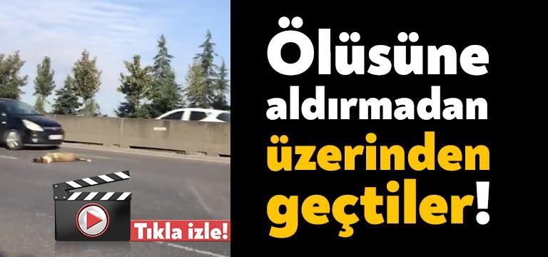 Kocaeli’nin Başiskele ilçesinde D-130 Karayolu üzerinde karşıdan karşıya geçmeye çalışan