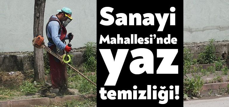 İzmit Belediyesi Park ve Bahçeler Müdürlüğü, Temizlik İşleri Müdürlüğü ve