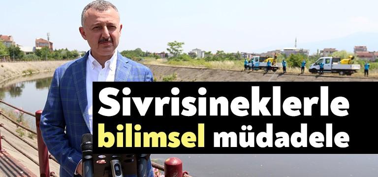 Kocaeli Büyükşehir Belediyesi, vektör özelliği taşıyan sivrisinek, karasinek gibi canlılara