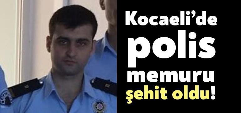 Kocaeli İl Emniyet Müdürlüğü ekipleri tarafından, geçtiğimiz günlerde Körfez İlçesi
