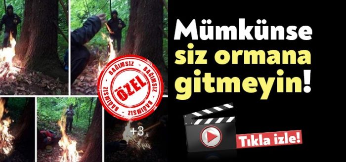 Yürüyüşe çıktılar ağacın kökünde ateş yaktılar!