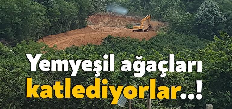 Kocaeli’nin Kandıra ilçesinde rüzgar enerji santrali için ÇED toplantısı yapılmadan