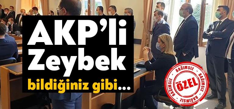 AKP’nin Kocaeli’deki hukukçu milletvekili Emine Zeybek siyasetini mesleğinin önüne koydu.