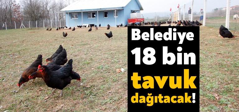 Kocaeli Büyükşehir Belediyesi tarafından çiftçiliğin geliştirilmesi amacıyla hayata geçirilen projelerden