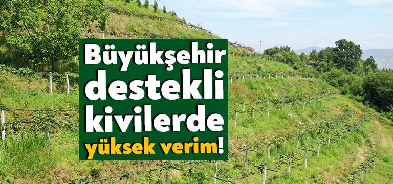 Tarımsal kalkınmanın en önemli ayaklarından birisi hiç şüphesiz getirisi yüksek