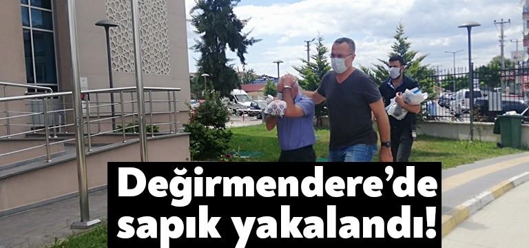 Gölcük Değirmendere Yüzbaşılar Mahallesinde dün vatandaşların fark etmesi üzerine 10