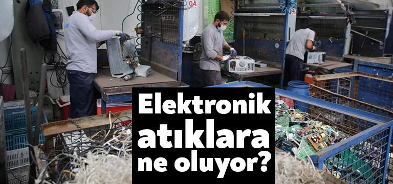 Yaban hayatı şehre indi. Çin’de hava temizlendi. Uludağ İstanbul’dan göründü.