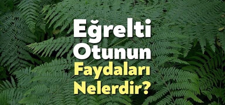 EĞRELTİ OTU Son günlerde giderek önem kazanan alternatif tıp ile
