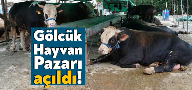 Gölcük Belediyesi, Selimiye Köyü eski Taş Ocakları mevkiinde yaptığı Kurban