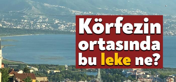 İzmit Körfezi'nde kahverengi bir leke meydana geldi. Söz konusu leke