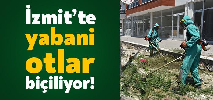 Yaz dönemiyle birlikte uzamaya başlayan ot ve dikenlerin temizlik çalışmalarını