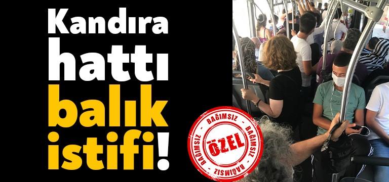 Corona virüsü salgını tüm dünyada hayat düzenini değiştirdi. Yeni normale