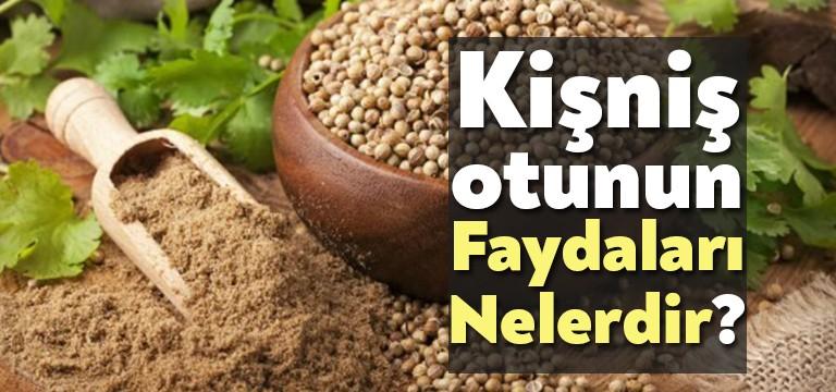 Kişniş Otu Nasıl Tüketilebilir? Pek çok insanın bilmediği, zaman zaman