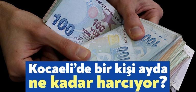 Türkiye İstatistik Kurumu Kocaeli Bölge Müdürlüğünce açıklanan verilere göre, Hanehalkı