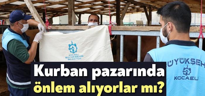 Kocaeli Büyükşehir Belediyesi ilçelerde kurulan kurban çadırlarında periyodik olarak ilaçlama