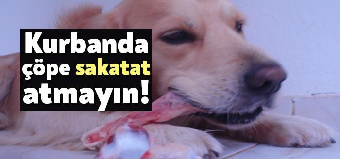 Kurban Bayramı’nda kesilen hayvanların gelişi güzel atılan sakatatları büyük tehlike
