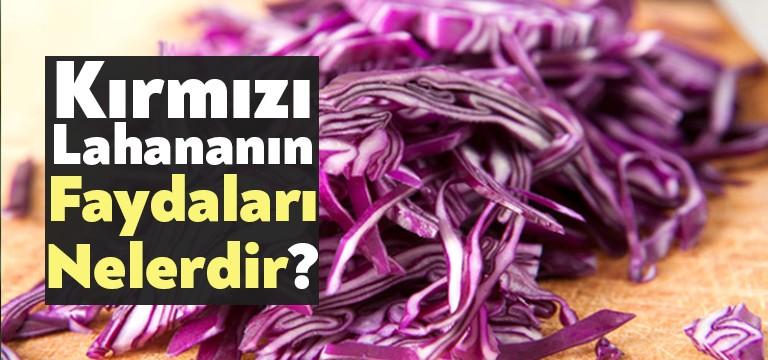 Kırmızı Lahana Nasıl Tüketilebilir? Oldukça zengin bir içeriğe sahip kırmızı