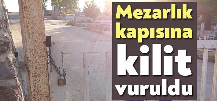 Körfez Belediyesi, Körfez İlimtepe Mahallesi Asri Mezarlık'ta hayvanların mezarlığı tahrip