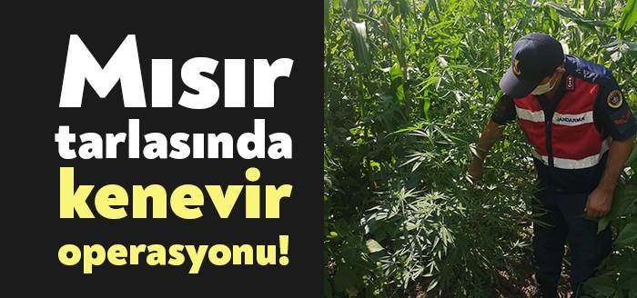 Kartepe’de Kocaeli İl Jandarma Komutanlığı ekipleri tarafından düzenlenen uyuşturucu operasyonunda