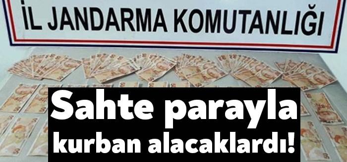 Kocaeli İl Jandarma Komutanlığına bağlı ekipler, yaklaşan kurban bayramı nedeniyle