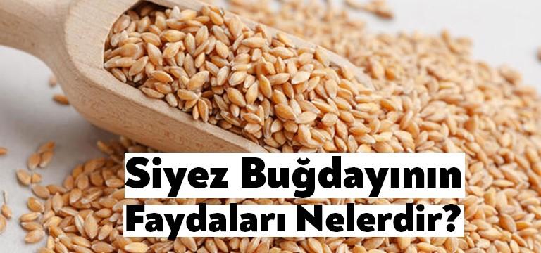 Değişen dünya düzeninde gün geçtikçe sağlıklı beslenmeye verilen önem artmakta.