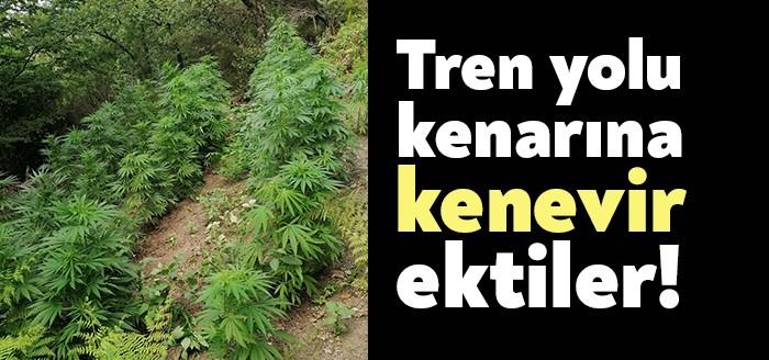 Kocaeli İl Jandarma Komutanlığı ekipleri tarafından Kartepe ilçesinde bulunan iki