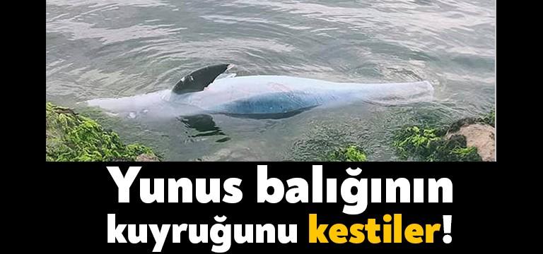 Kocaeli’nin Darıca ilçesinde Şehir Er Gökhan Hüseyinoğlu Parkı’nda sabah yürüyüşüne