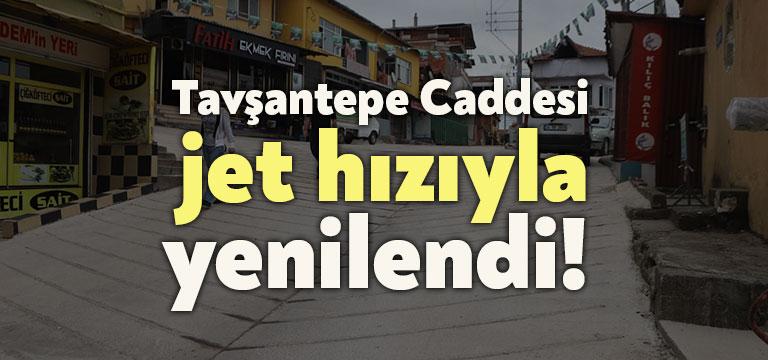 Yıllardır bakımı yapılmayan ve vatandaşın çilesi haline gelen Tavşantepe Mahallesi’nde