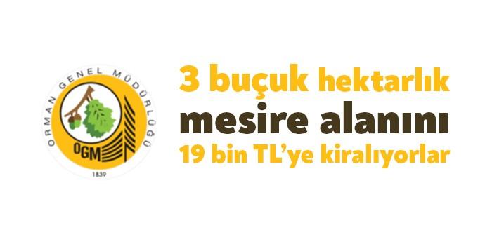 Gebze Orman İşletme Müdürlüğü tarafından 3 buçuk hektarlık Gebze İkizağaç