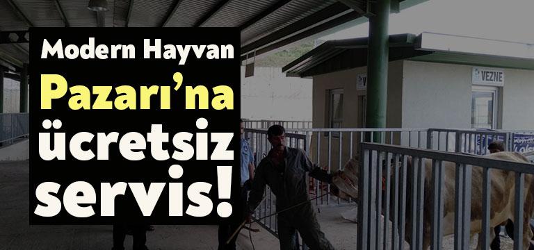 İzmit Belediyesi, yaklaşmakta olan Kurban Bayramı öncesi kurbanlık hayvan alışverişi