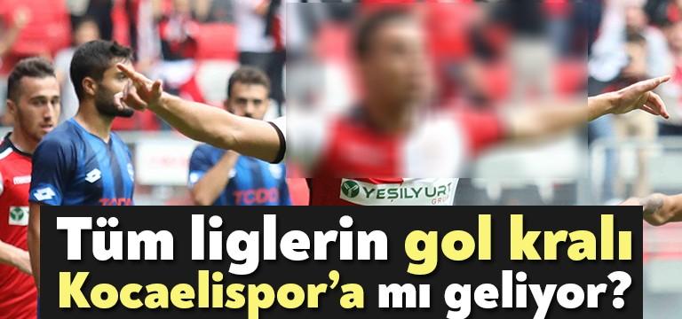 Şampiyon Kocaelispor, forvet oyuncusu arayışını sürdürüyor. Üst lig için transfer