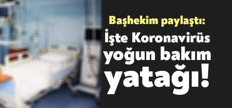 Darıca Eğitim ve Araştırma Hastanesi Başhekimi Doç. Dr. Mustafa Güneş,