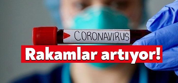 Sağlık Bakanlığı'nın açıkladığı güncel corona virüsü verilerine göre semptom gösteren