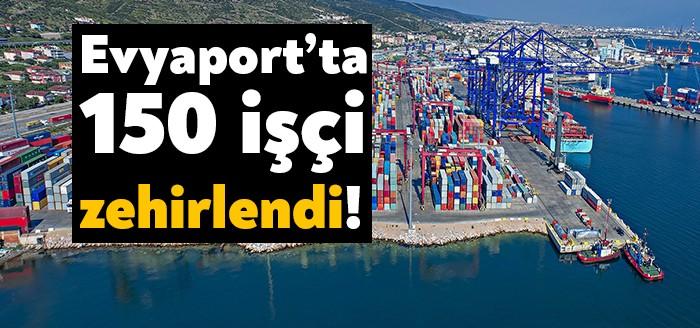 Kocaeli'nin Körfez ilçesinde faaliyet gösteren Evyapport limanında akşam vardiyasına gelen