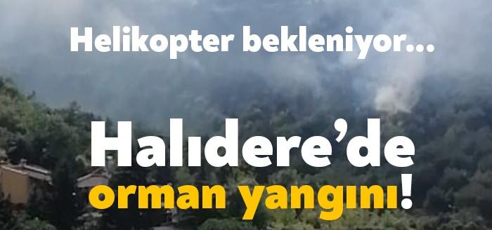 Kocaeli'nin Gölcük ilçesinde Halıdere’de eski Roma mezarlığı manastır tepe bölgesinde