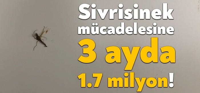 Kocaeli sivrisinek mücadelesinde sınıf atladı. Kocaeli Büyükşehir Belediyesi 3 ay