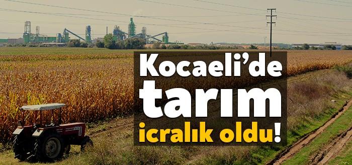 Kocaeli'de çiftçi icralık oldu. Kent genelinde 12 ilçenin tamamında çeşitli