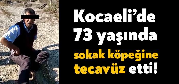 Kandıra Cezaevleri bölgesinde yanında yavruları bulunan sokak köpeğine tecavüz eden