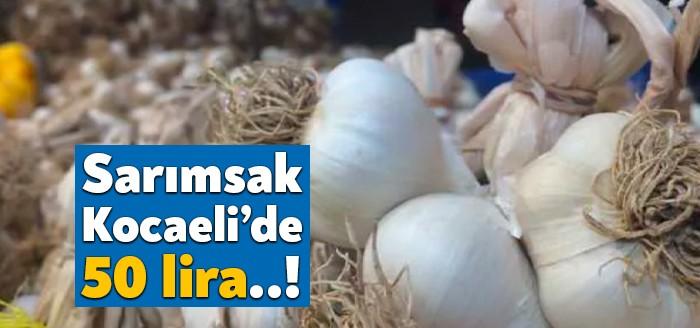 Sarımsak Kocaeli'de 50 liraya kadar alıcı buluyor. Kocaeli hallerindeki fiyat