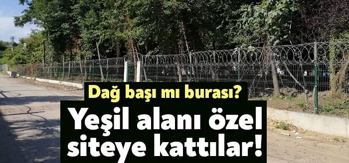 Kandıra Kumcağız Sahil Evleri Sitesi yönetimi, iddialara göre; yeşil alanları