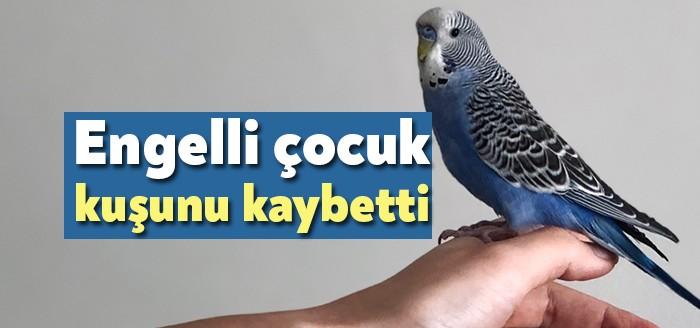İzmit Mehmet Ali Paşa Mahallesi'nde ikamet eden engelli bir çocuğa