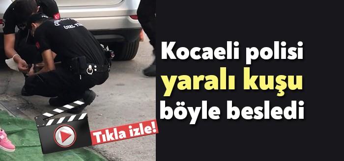 Kocaeli'nin İzmit İlçesindeki 30 Ağustos kutlamalarında görev alan iki çevik