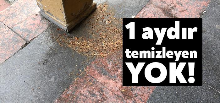 Kocaeli'nin İzmit ilçesinde yer alan Halk Eğitim Merkezi önünde 1