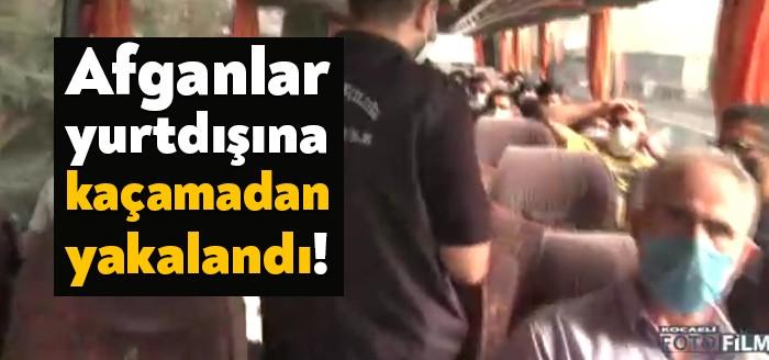 Kocaeli Emniyet Müdürlüğü ekipleri tarafından göçmen kaçakçılığının men ve takibine