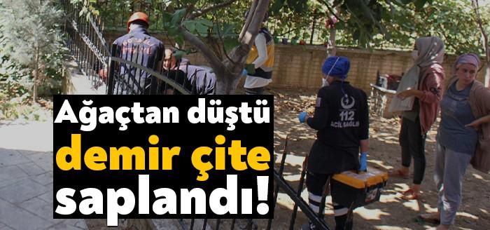 Kartepe Köseköy Ertuğrul Gazi Mahallesi'nde çıktığı incir ağacından demir parmaklıkların
