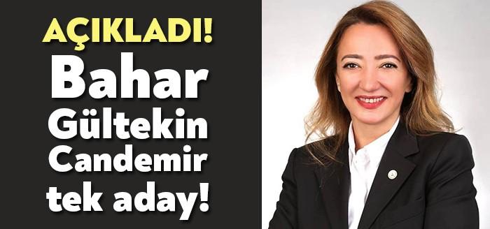 Kocaeli Barosu Başkanı Bahar Gültekin Candemir, bir dönem daha baro