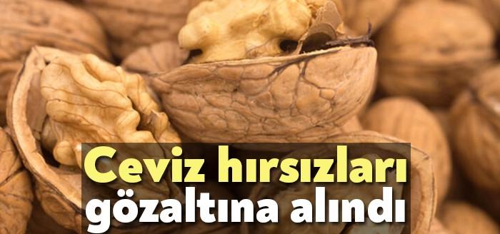 İzmit Kulfallı Mahallesinde bulunan bir şahsa ait bahçeden izinsiz topladığı