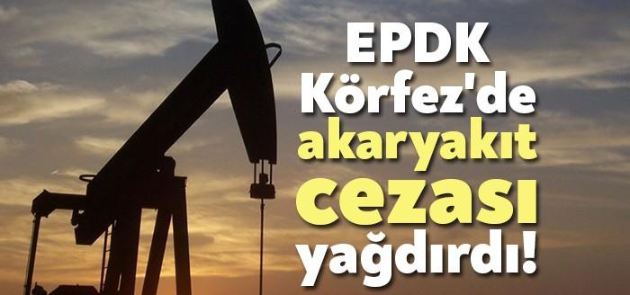 Enerji Piyasası Düzenleme Kurumu, Kocaeli'nin Körfez ilçesinde usule aykırı işlem