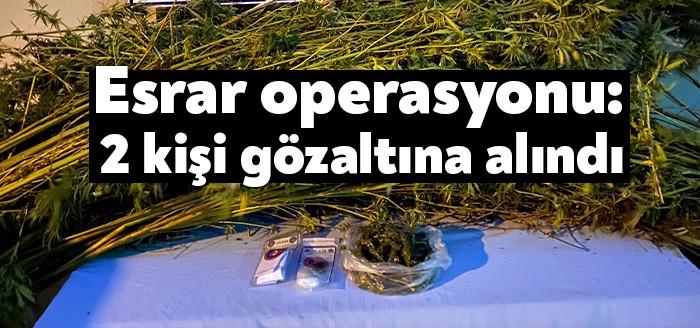 Kocaeli İl Jandarma Komutanlığı ekipleri tarafından düzenlenen uyuşturucu operasyonunda 371